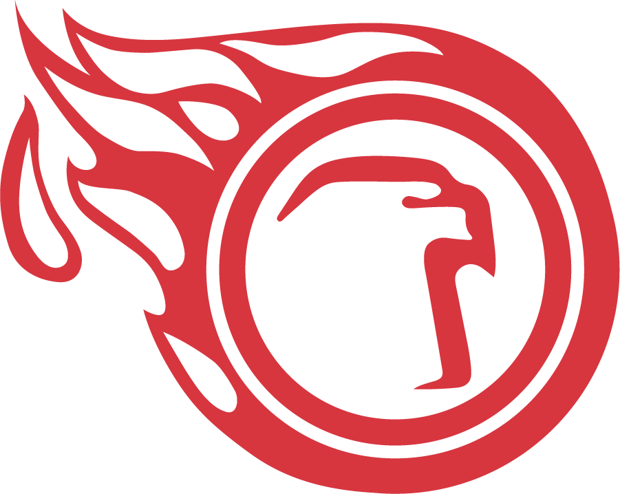 Liberty Flames 1984-1985 Primary Logo DIY iron on transfer (heat transfer)